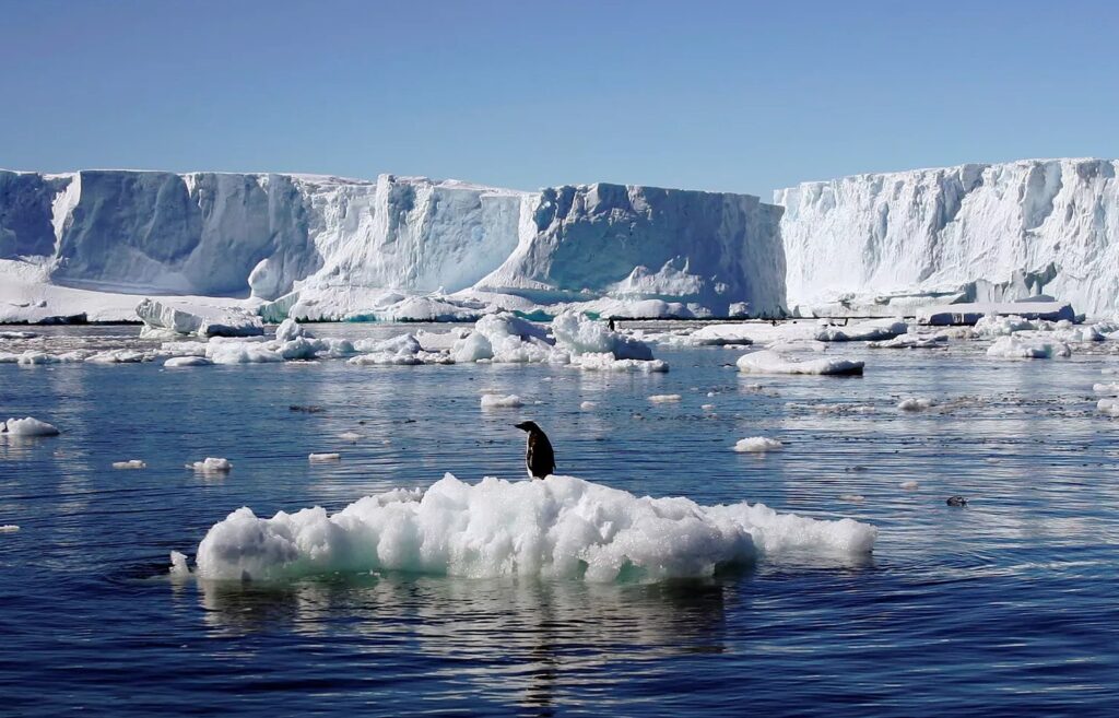 Antarctica is Melting—Is Your Business Ready to Lead?